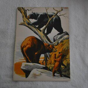 Black Bear and Grizzly 1950s wildlife book illustration bookplate Lee Ames print